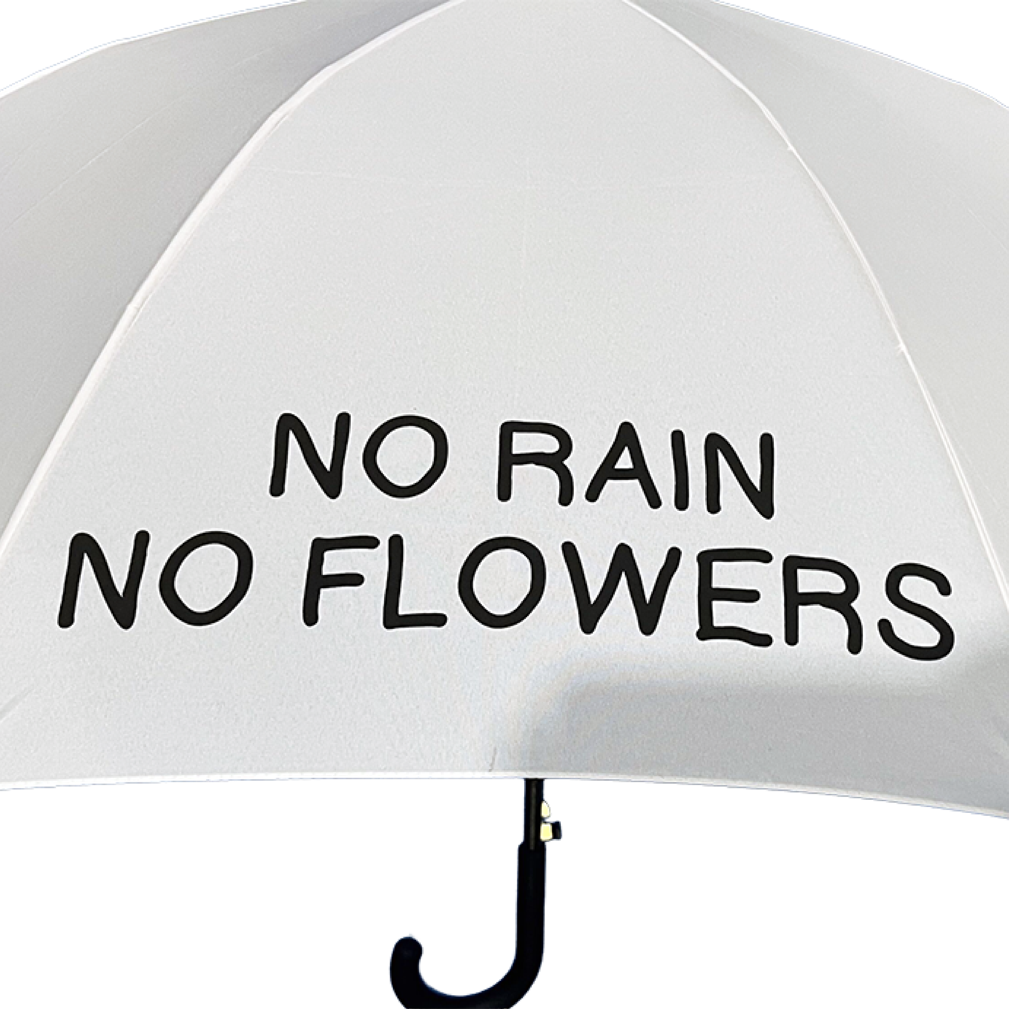NO RAIN NO FLOWERS